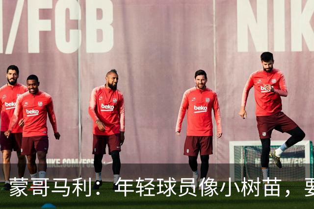 蒙哥马利：年轻球员像小树苗，要给他们时间成长