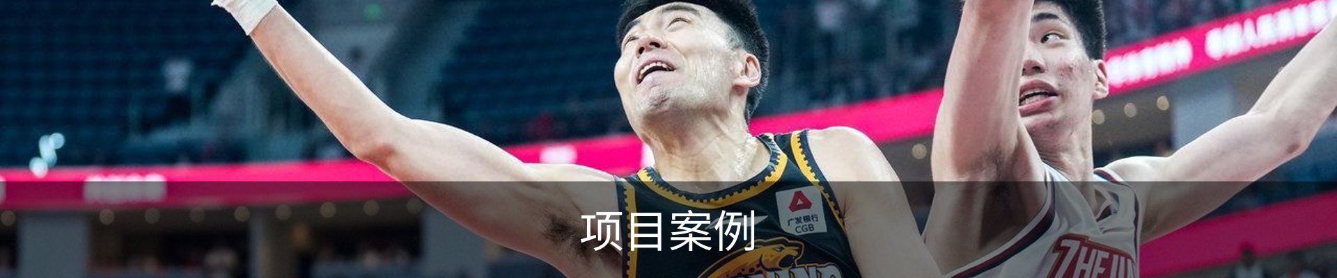 项目案例
